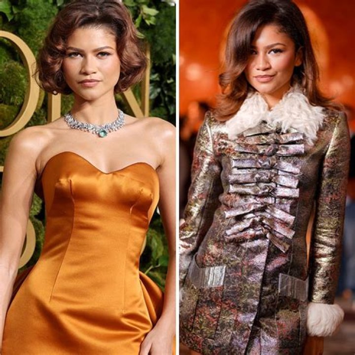 Is Zendaya Pregnant? Rumors About The Actress Addressed