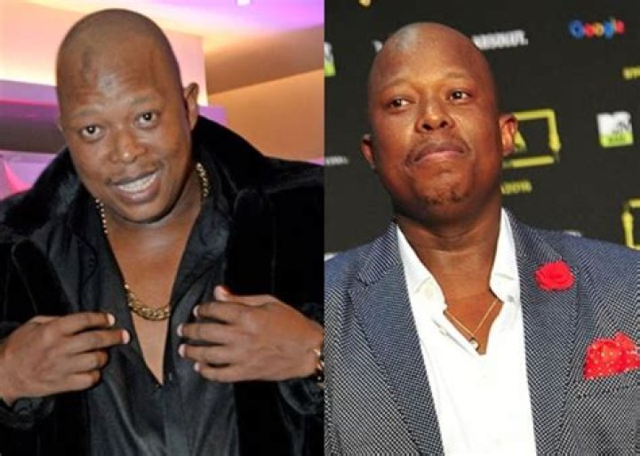 Mampintsha Height, Weight, Net Worth, Age, Birthday, Wikipedia, Who, Instagram, Biography
