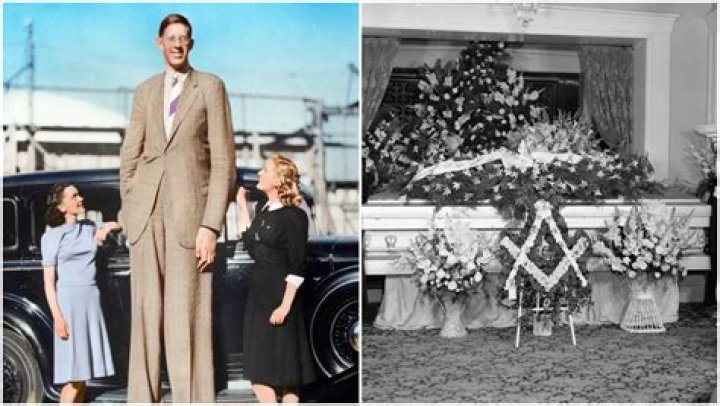
Robert Wadlow Obituary, What was Robert Wadlow Cause of Death? 