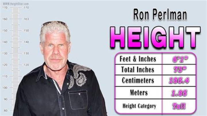 Ron Perlman Height, Weight, Net Worth, Age, Birthday, Wikipedia, Who, Nationality, Biography