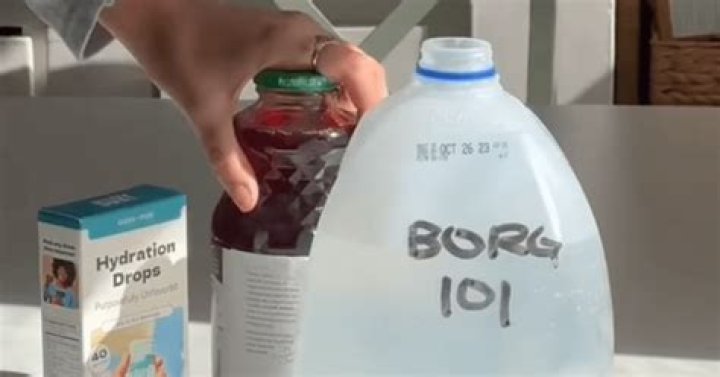 
TikTok’s ‘Borg’ Drinking Trend: Why Is It So Dangerous? 
