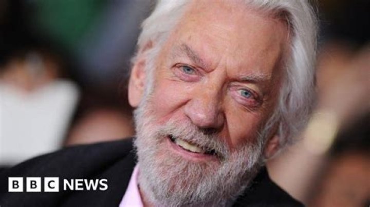
Was Lino Capolicchio Married? Italian Cinema Actor Died From Illness 