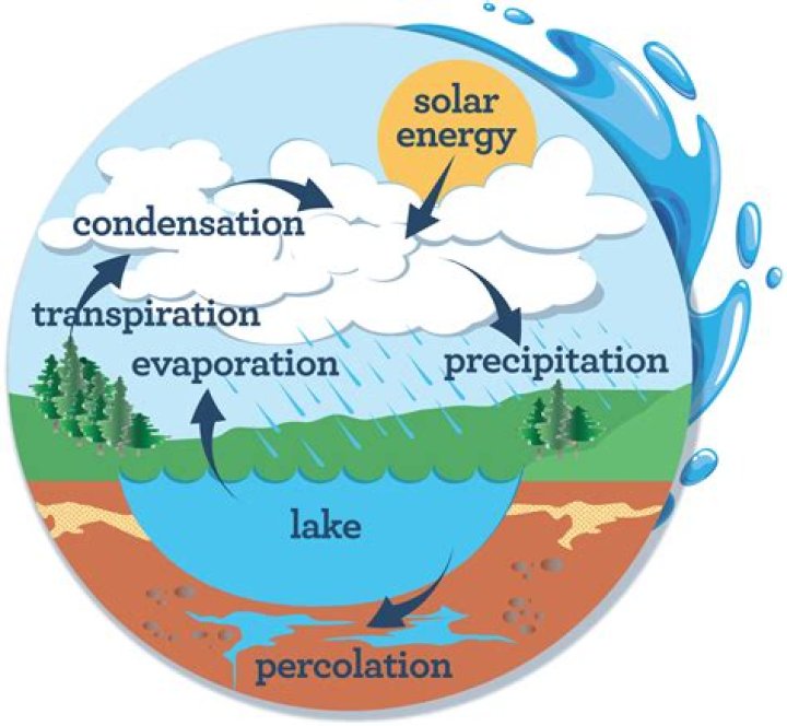What role does the sun and gravity play in the water cycle
