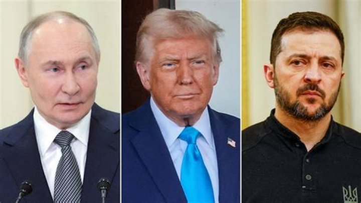 Who Is President Volodymyr Zelenskyy Advisor? Meet Igor Novikov, Ukraine’s Man To Watch