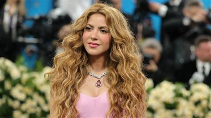 
Who Is Shakira From Bring It? Shakira Robinson Dancing Dolls Shot and Killed 